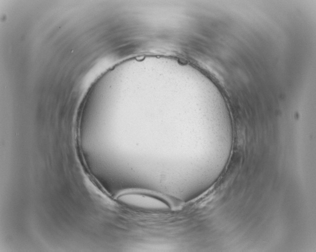 X0000088091471200706011551