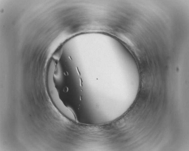 X0000088091472200706011551