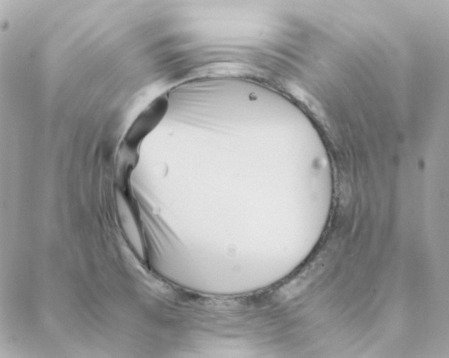 X0000088091473200706011551