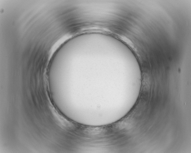 X0000088091474200706011551