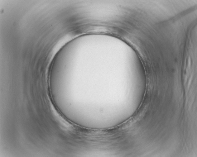 X0000088091475200706011551