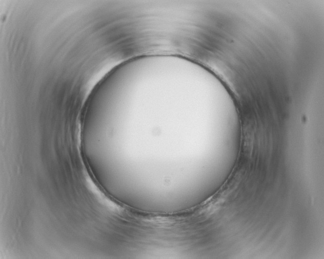 X0000088091476200706011551