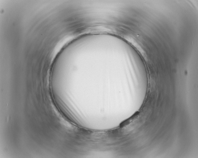 X0000088091477200706011551