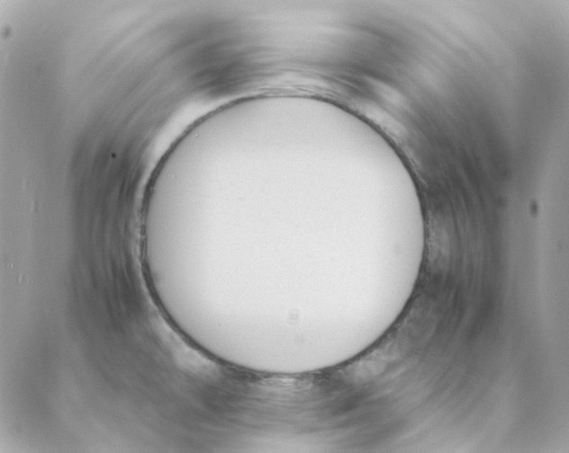 X0000088091478200706011551