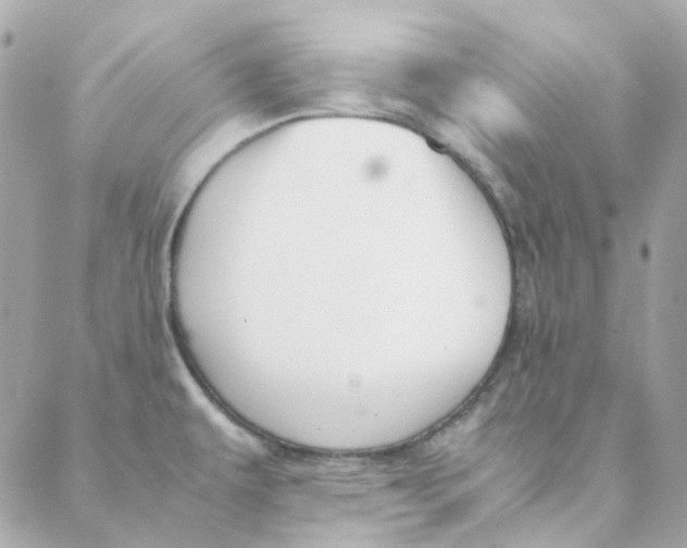 X0000088091479200706011551