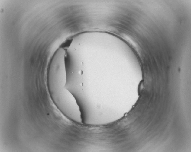 X0000088091480200706011551