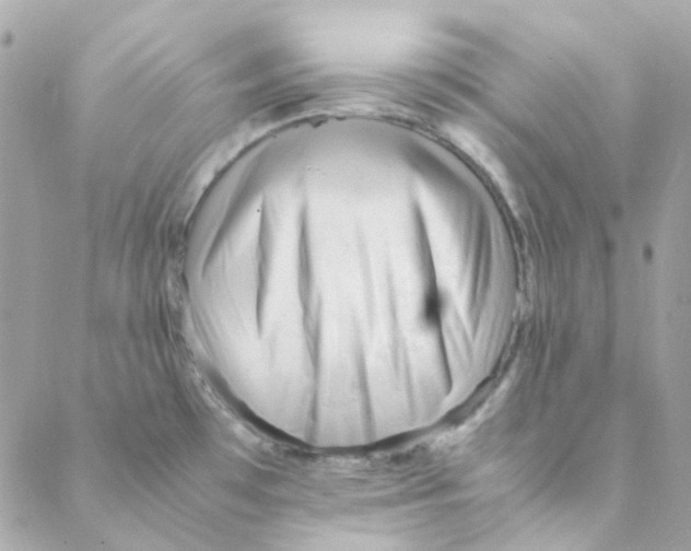 X0000088091481200706011551