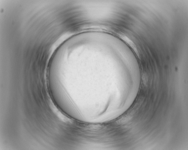 X0000088091482200706011551