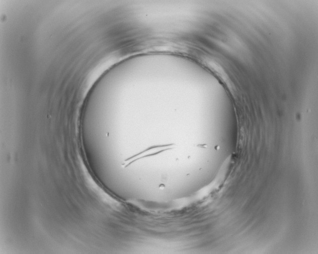 X0000088091483200706011551