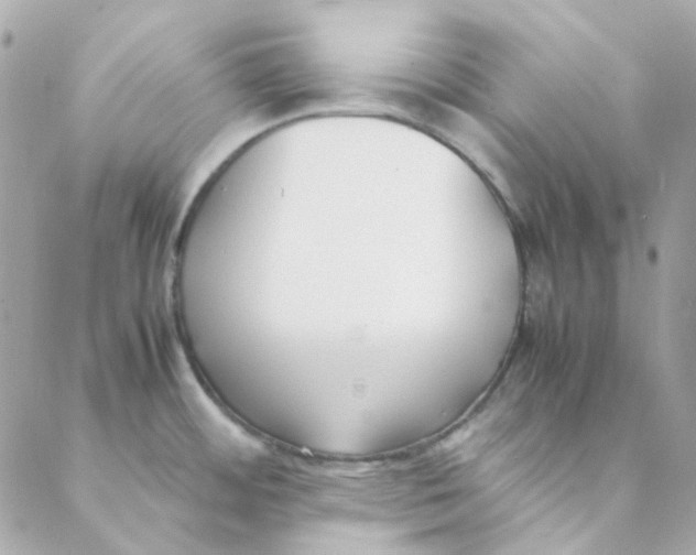 X0000088091484200706011551