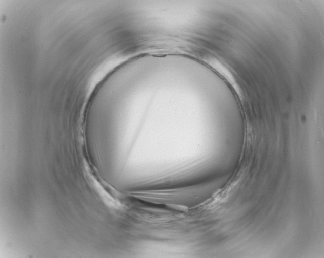 X0000088091485200706011551