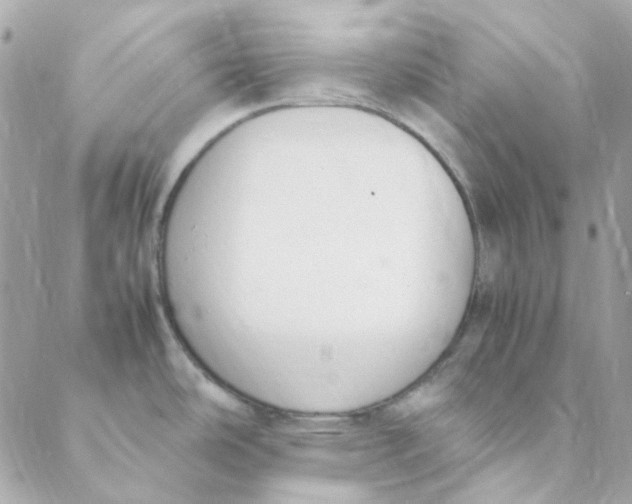 X0000088091486200706011551