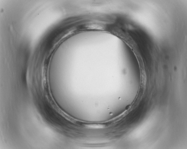 X0000088091487200706011551