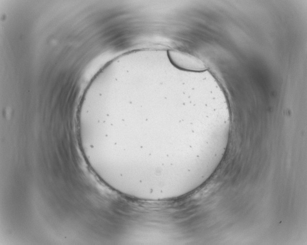 X0000088091488200706011551