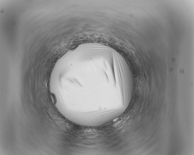 X0000088091489200706011550