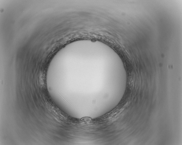 X0000088091490200706011550