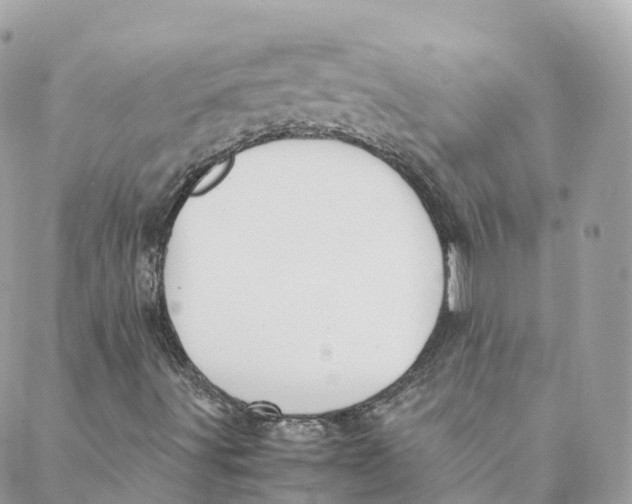 X0000088091491200706011550