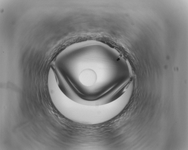 X0000088091492200706011550