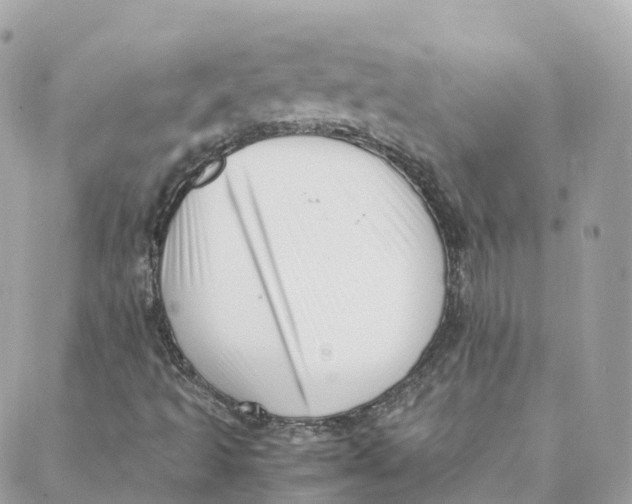 X0000088091493200706011550