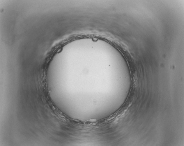 X0000088091494200706011550