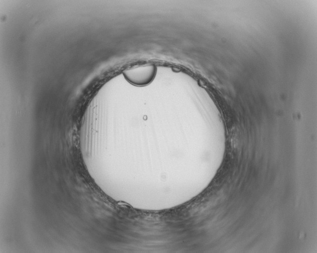 X0000088091495200706011550