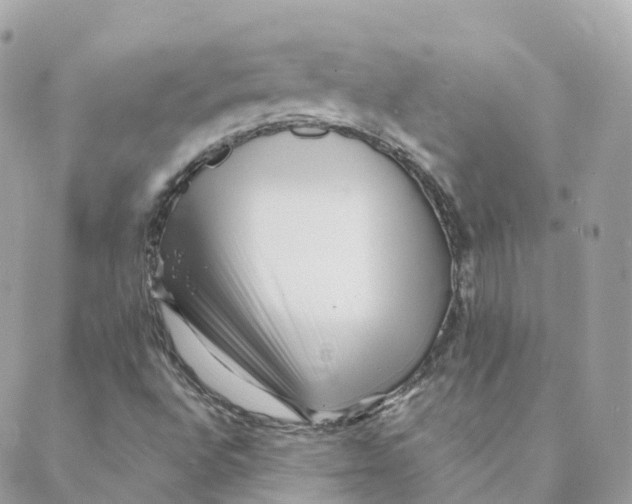 X0000088091496200706011550