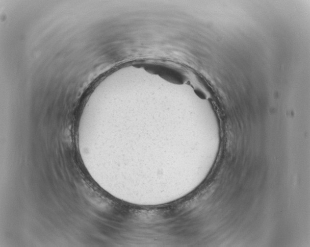 X0000088091497200706011550