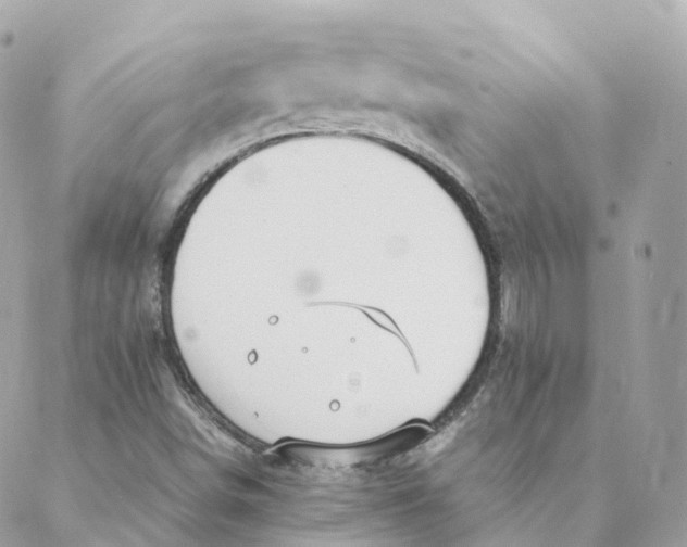 X0000088091498200706011550