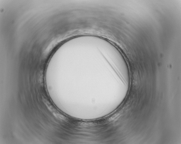 X0000088091499200706011550