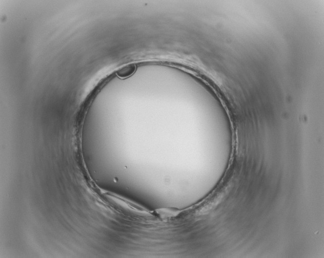 X0000088091501200706011550