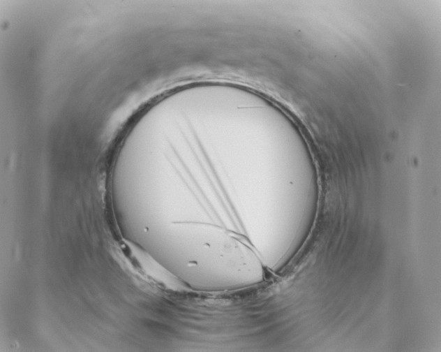 X0000088091503200706011550