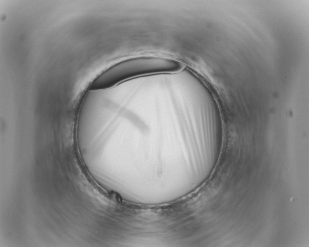 X0000088091504200706011550