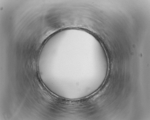 X0000088091505200706011550