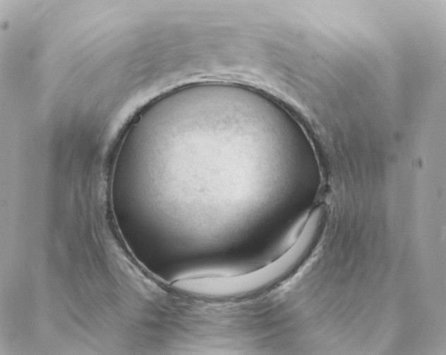 X0000088091506200706011550