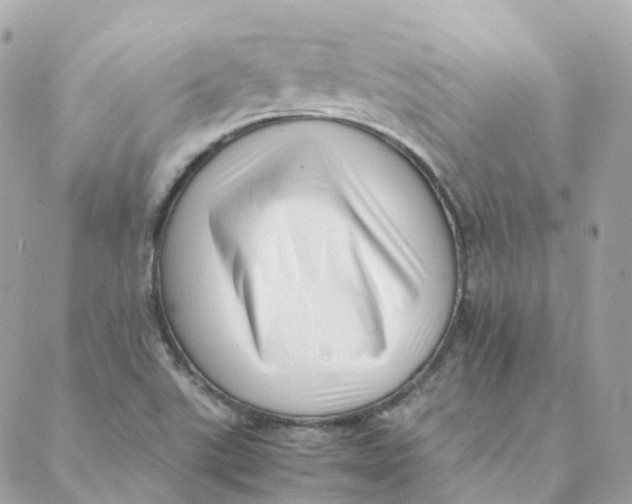 X0000088091507200706011550