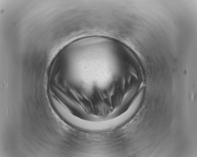 X0000088091508200706011550