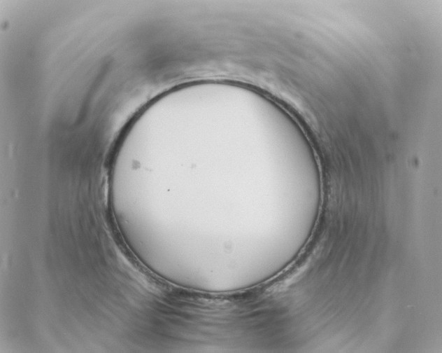 X0000088091509200706011550