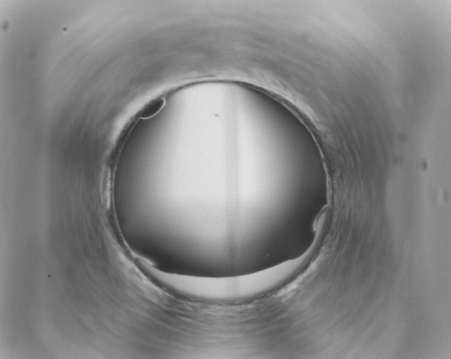 X0000088091510200706011550