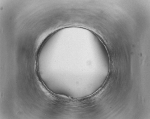 X0000088091511200706011550