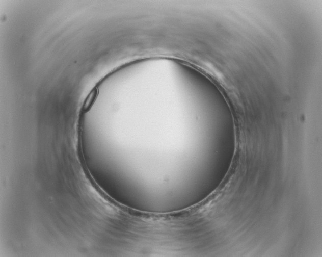 X0000088091512200706011551