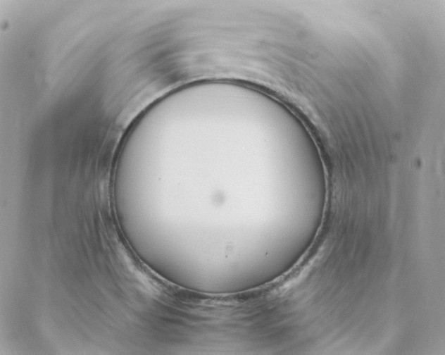 X0000088091513200706011551