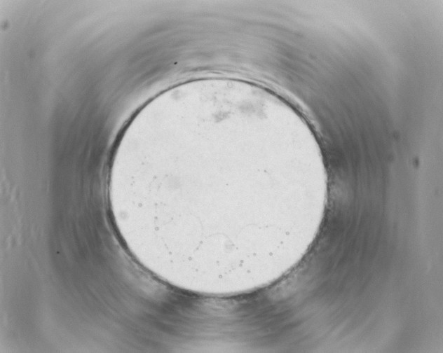 X0000088091514200706011551