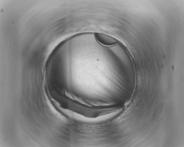 X0000088091515200706011551