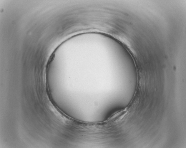 X0000088091516200706011551