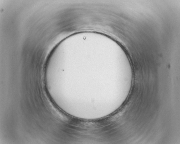 X0000088091517200706011551