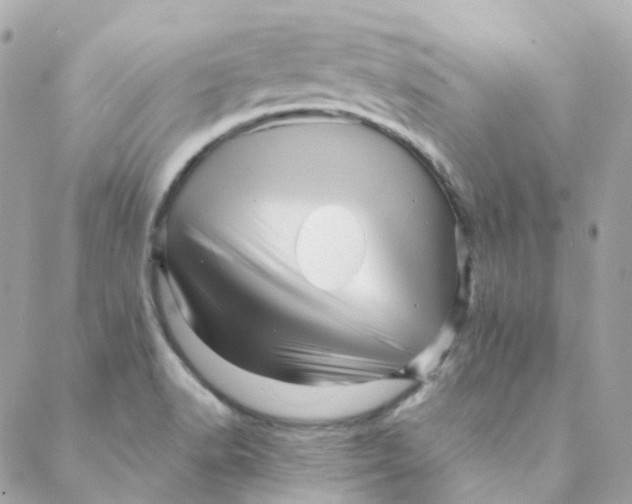 X0000088091518200706011551