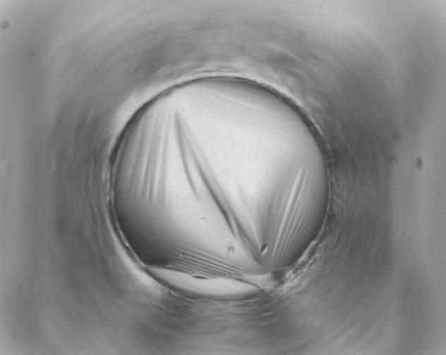 X0000088091519200706011551