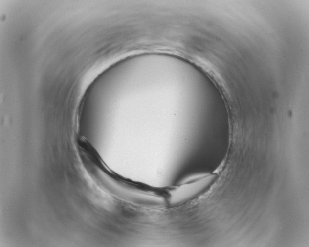 X0000088091520200706011551