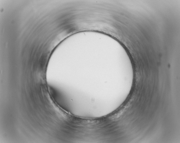 X0000088091521200706011551