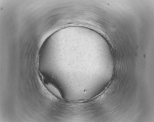 X0000088091522200706011551